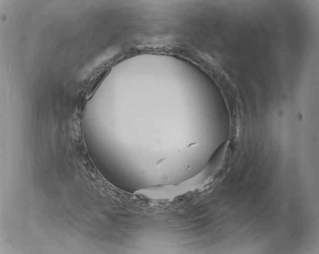 X0000053121350200508012141