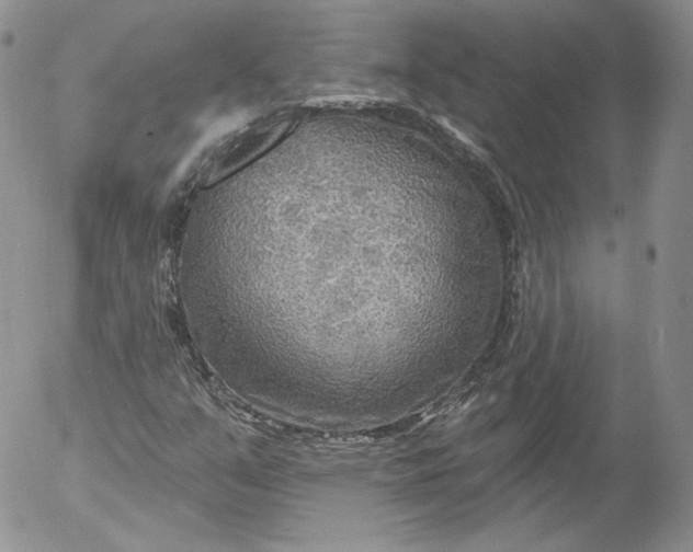 X0000053121351200508012141