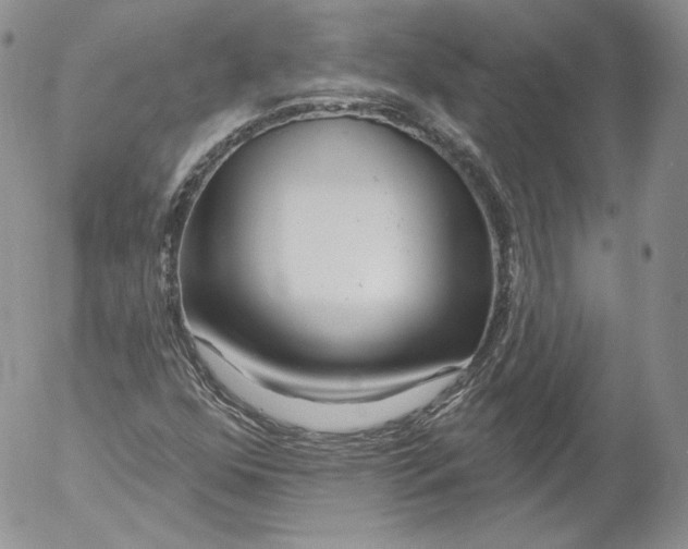 X0000053121352200508012141