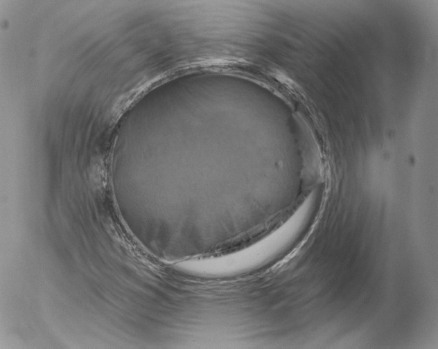 X0000053121353200508012141