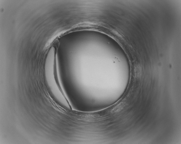 X0000053121355200508012141