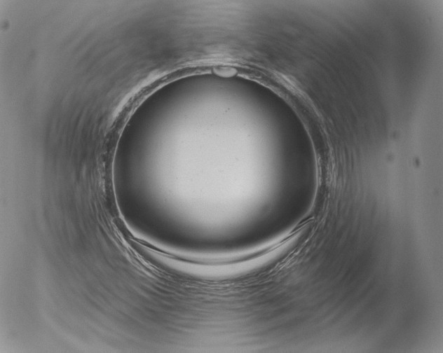 X0000053121356200508012140