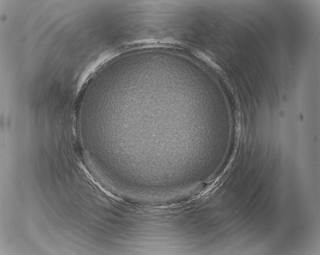 X0000053121357200508012140