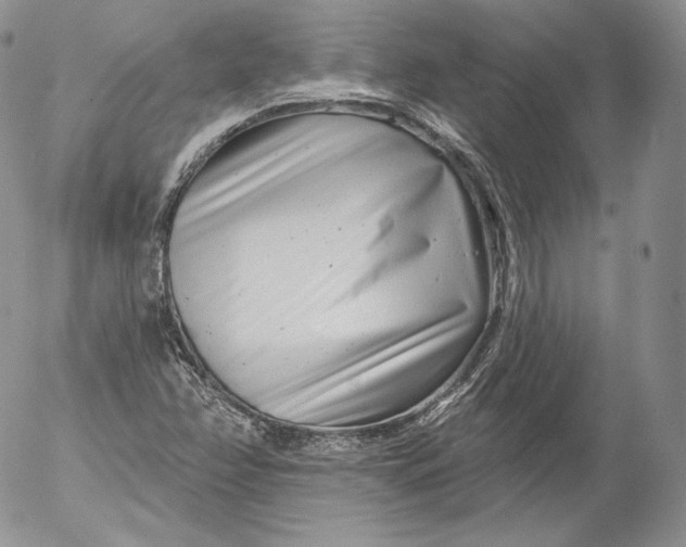 X0000053121358200508012140