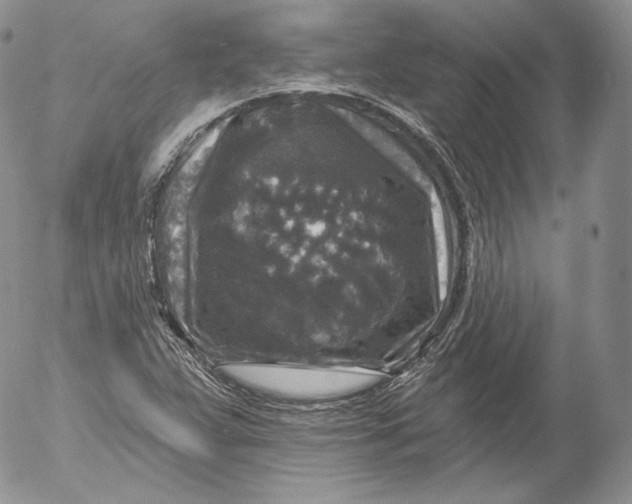 X0000053121359200508012140