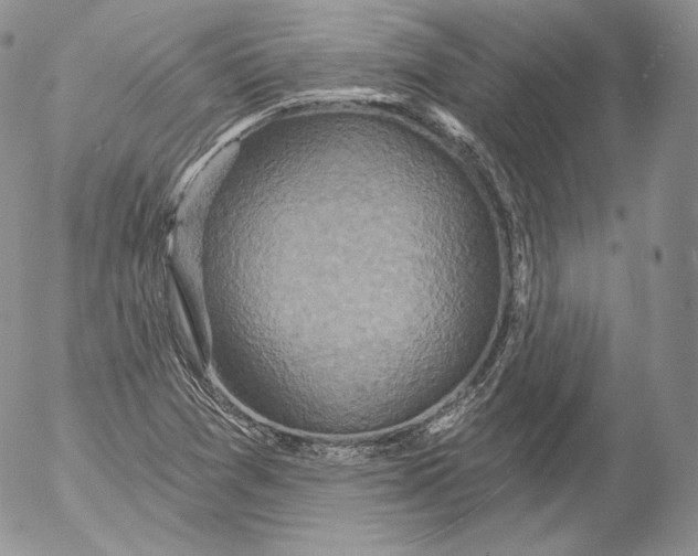 X0000053121361200508012140