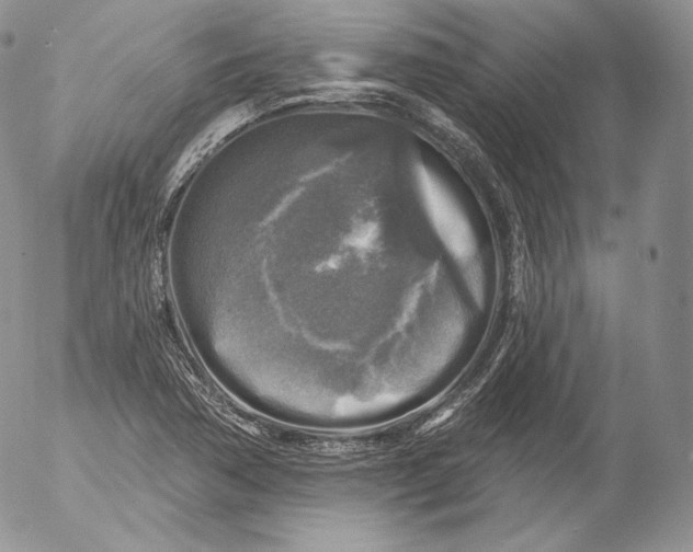 X0000053121362200508012140