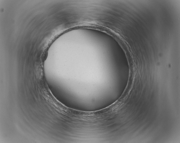 X0000053121363200508012140