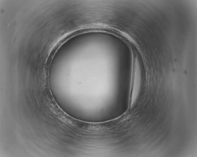 X0000053121364200508012140