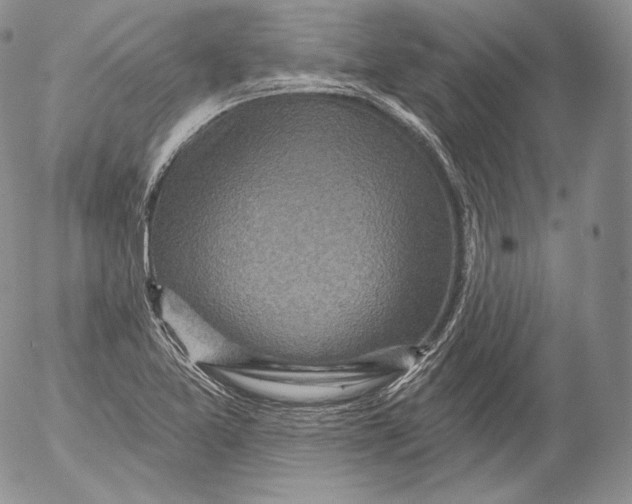 X0000053121365200508012140