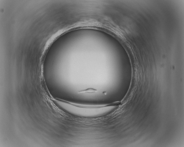 X0000053121366200508012140