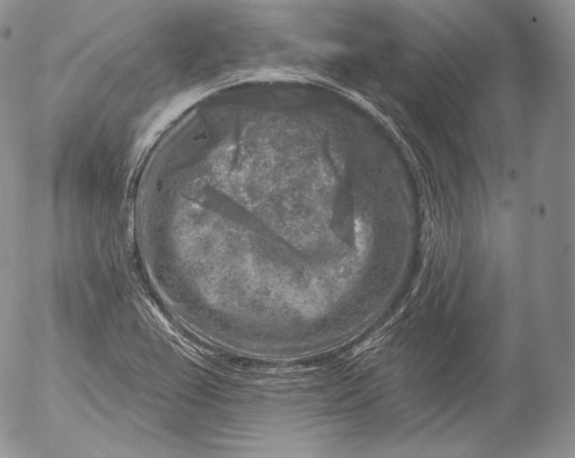 X0000053121367200508012140