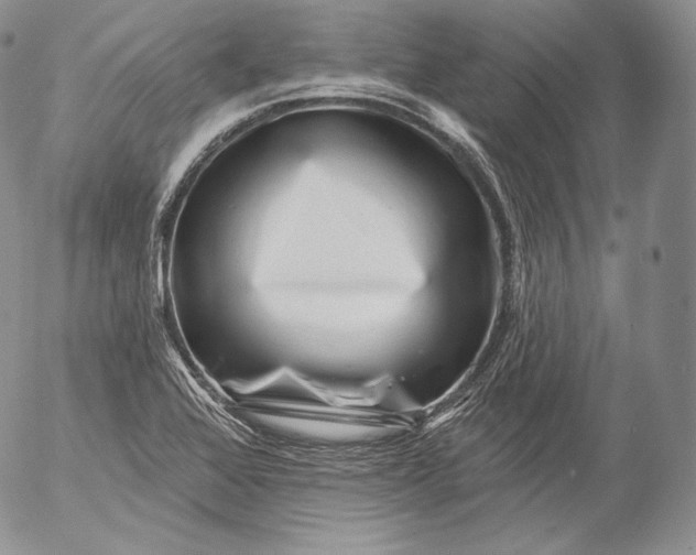 X0000053121368200508012140