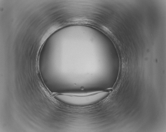 X0000053121370200508012140