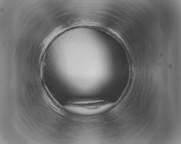 X0000053121371200508012140