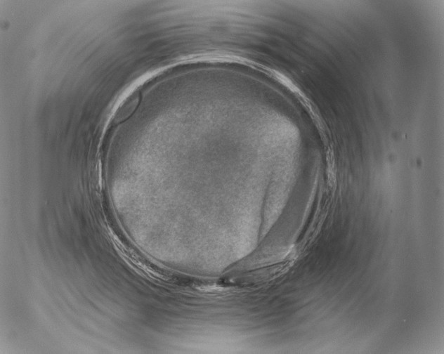 X0000053121372200508012140