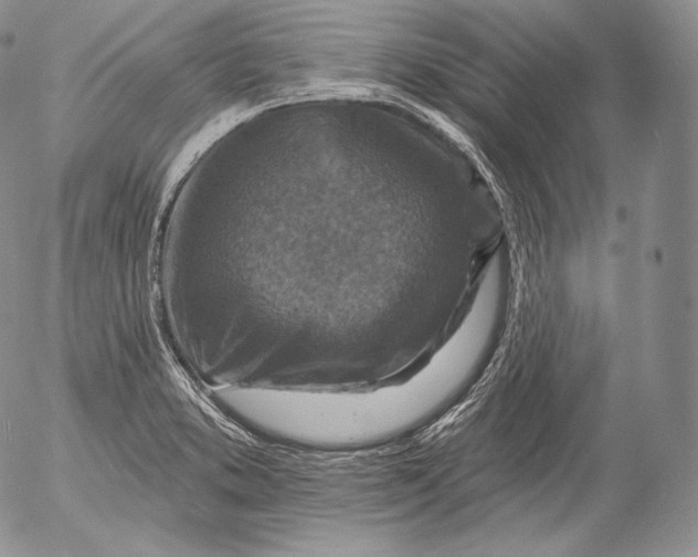 X0000053121373200508012140