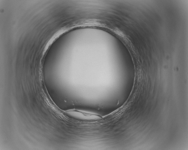 X0000053121374200508012140