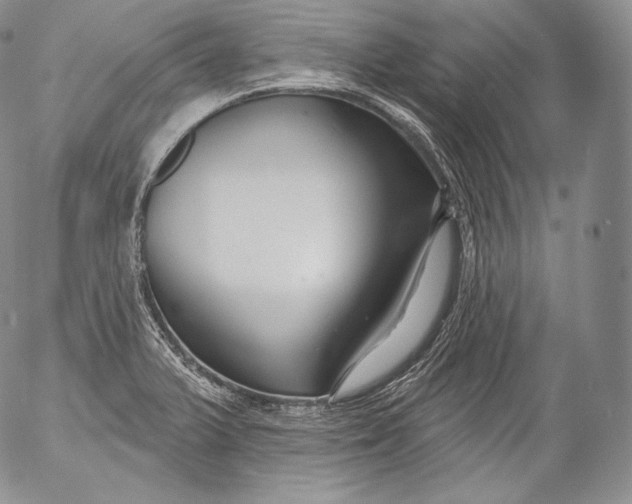 X0000053121375200508012140