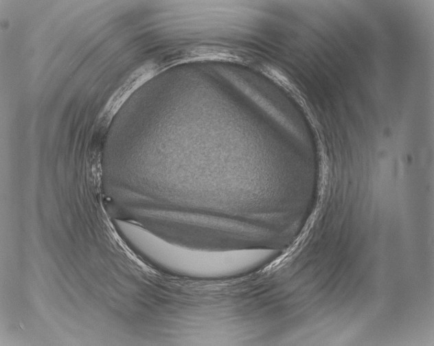 X0000053121377200508012140