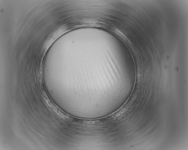 X0000053121378200508012140