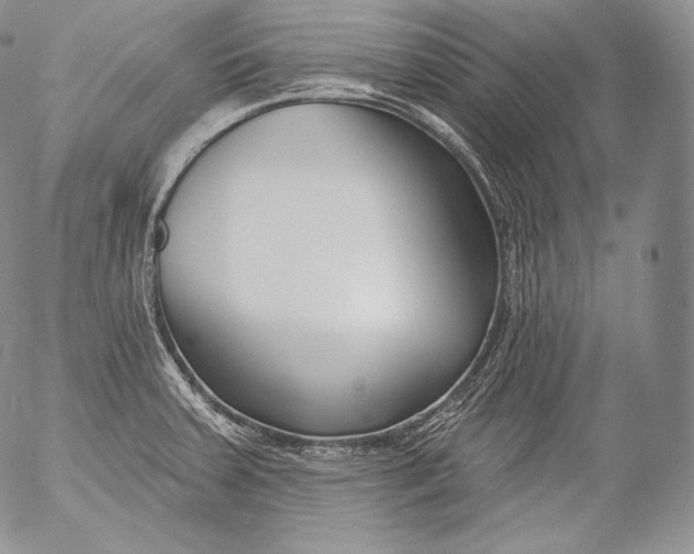 X0000053121379200508012140