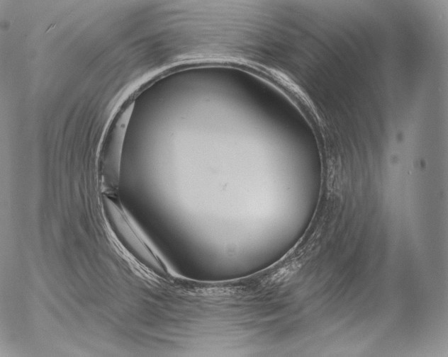 X0000053121380200508012140