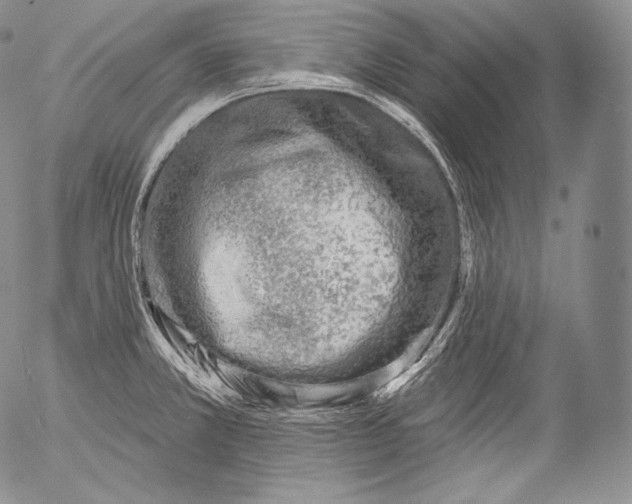 X0000053121381200508012140