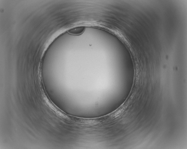 X0000053121382200508012140