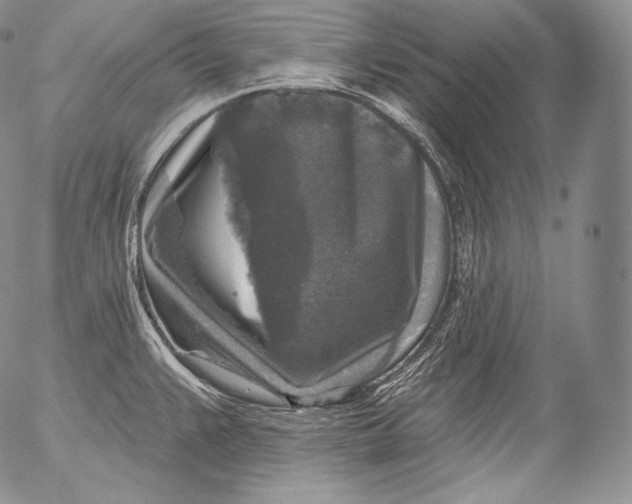 X0000053121383200508012140