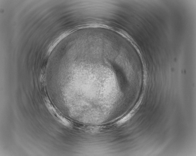 X0000053121385200508012140