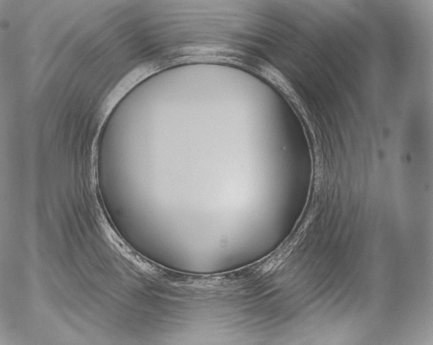 X0000053121386200508012140