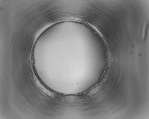 X0000053121387200508012140