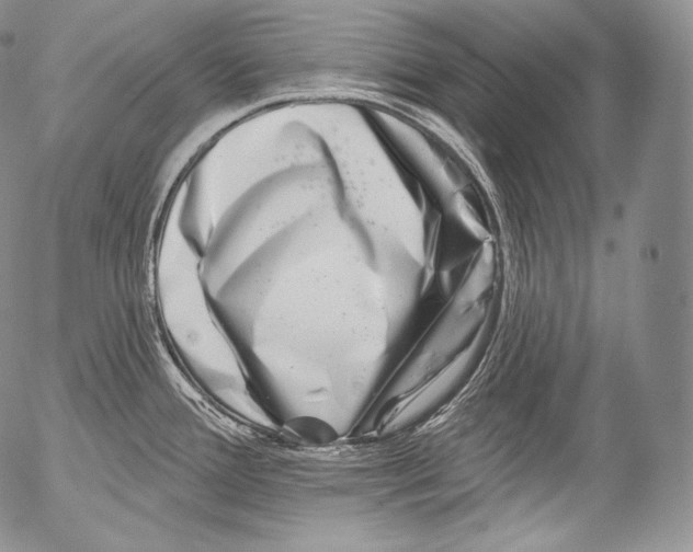 X0000053121388200508012140