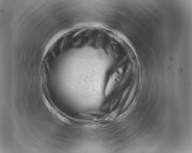 X0000053121389200508012140