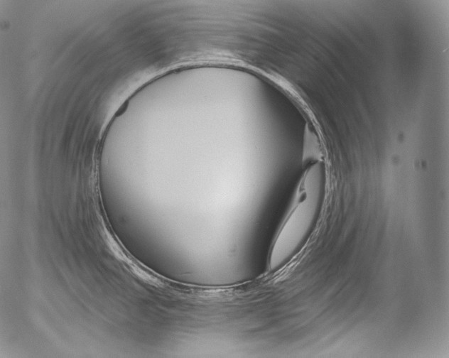 X0000053121390200508012140