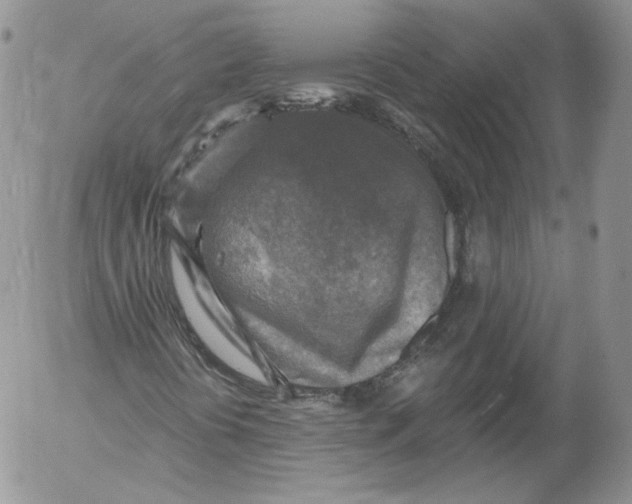 X0000053121394200508012139