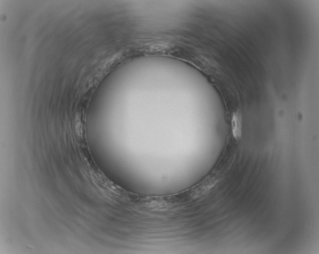 X0000053121395200508012139