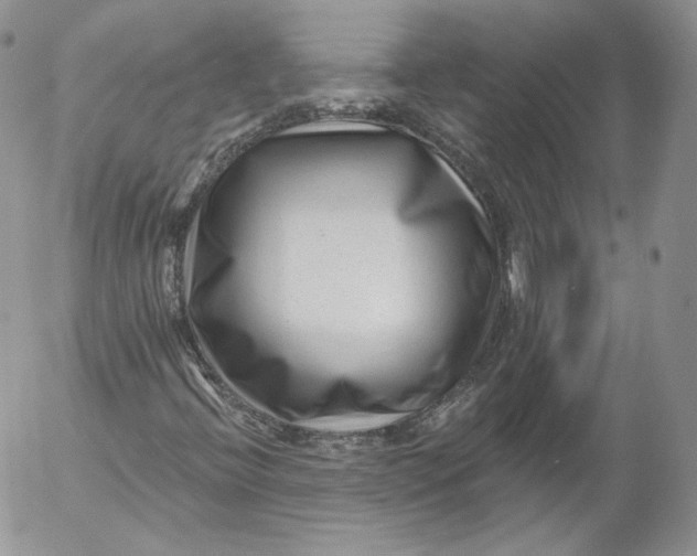 X0000053121396200508012139