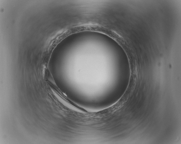 X0000053121398200508012139