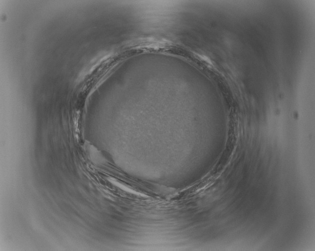 X0000053121399200508012139