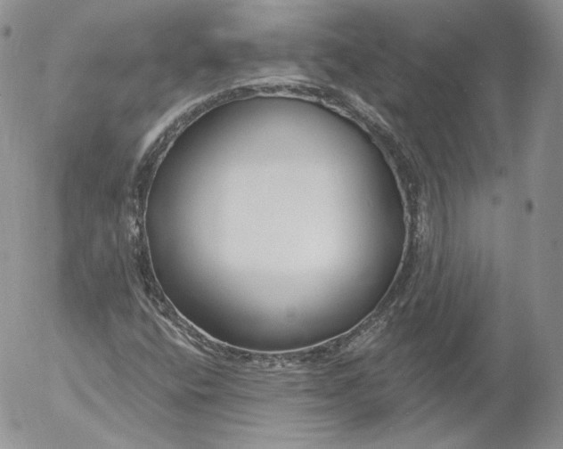 X0000053121400200508012139