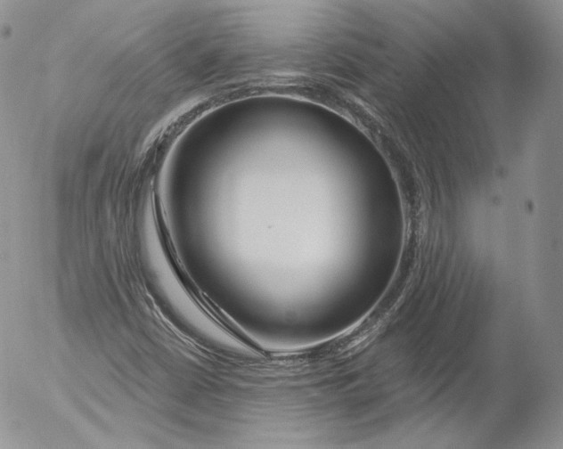 X0000053121402200508012139