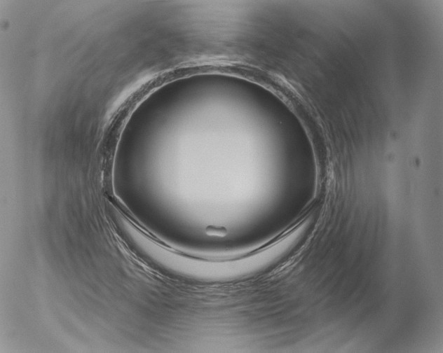 X0000053121406200508012139