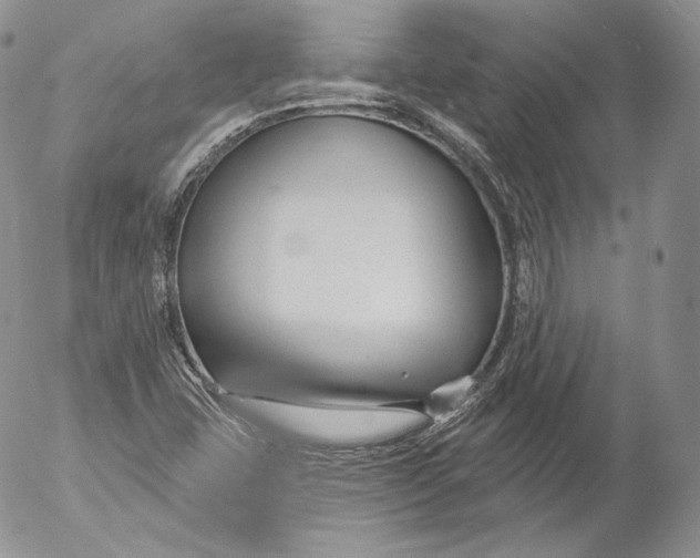 X0000053121407200508012139