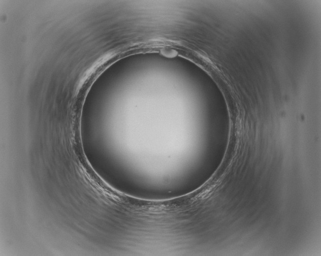 X0000053121410200508012139