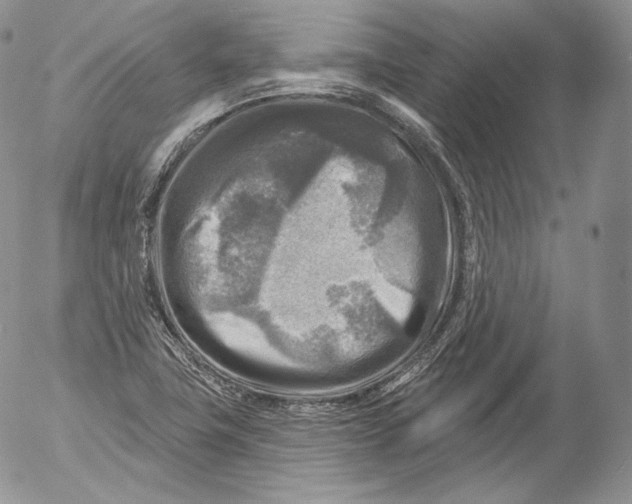 X0000053121411200508012139