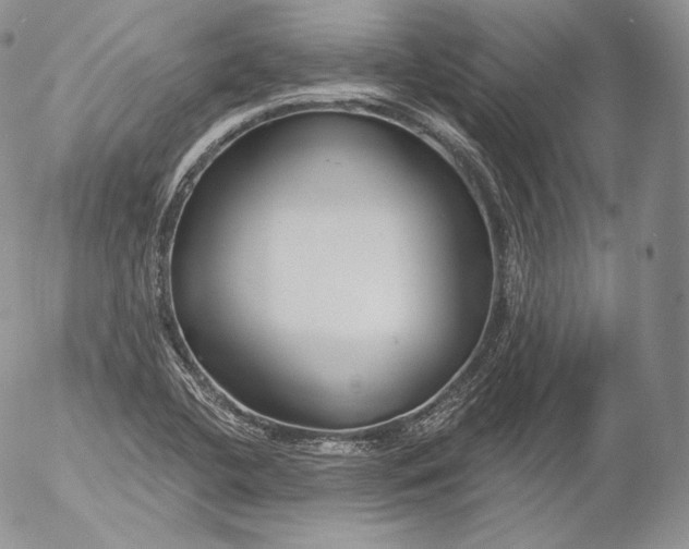 X0000053121412200508012139