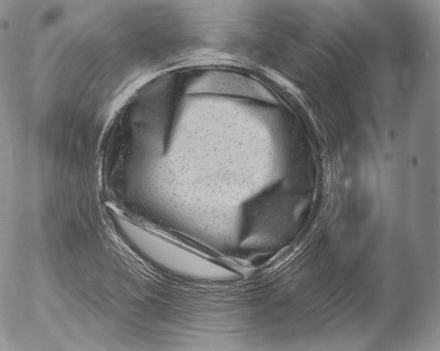 X0000053121415200508012139