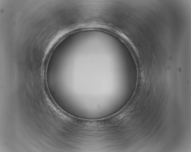 X0000053121416200508012139